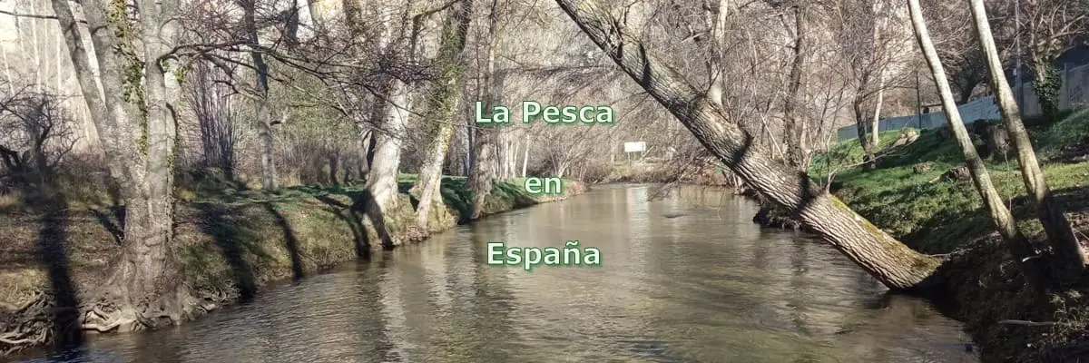 La Pesca en España